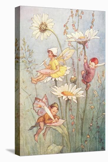 Garden Fairies-null-Stretched Canvas