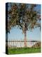 Garden, Fence, Apple Tree-Thonig-Premier Image Canvas