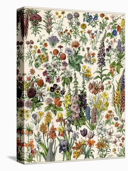Garden Flowers, Lily, Daffodil, Tulip, Dahlia, Zinnia, Pansy, Marigold-null-Premier Image Canvas