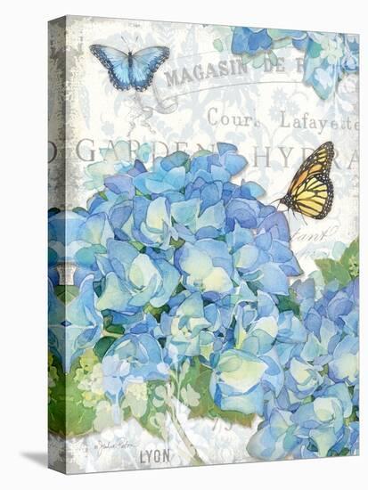 Garden Hydrangea I-Julie Paton-Stretched Canvas