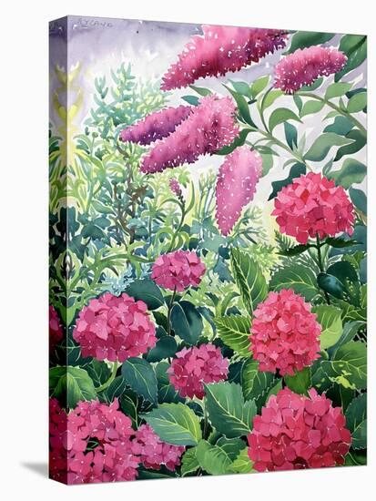 Garden Hydrangeas and Buddleia-Christopher Ryland-Premier Image Canvas