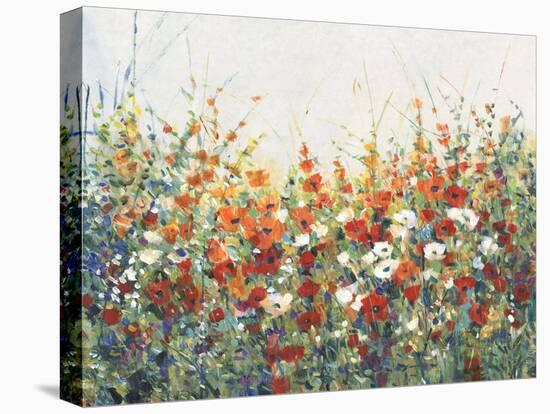 Garden in Bloom I-Tim OToole-Stretched Canvas