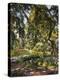 Garden in Godrammstein with a Twisted Tree and Pond-Max Slevogt-Premier Image Canvas