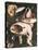 Garden of Earthly Delights-Hieronymus Bosch-Stretched Canvas