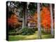 Garden of Sanzenin Temple-null-Premier Image Canvas