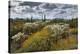 Garden of the Blessing-Michael Greene-Stretched Canvas