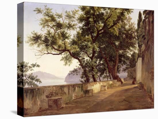 Garden of the Capuchin Friars, Near Sorrento, 1827-Carl Wilhelm Goetzloff-Premier Image Canvas