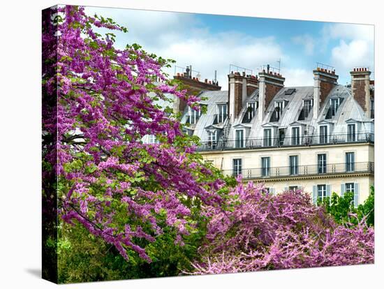 Garden of the Tuileries, the Louvre, Paris, France-Philippe Hugonnard-Premier Image Canvas