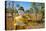 Garden of Thousand Buddhas, Monywa, Myanmar (Burma)-Jan Miracky-Premier Image Canvas