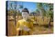 Garden of Thousand Buddhas, Monywa, Myanmar (Burma)-Jan Miracky-Premier Image Canvas