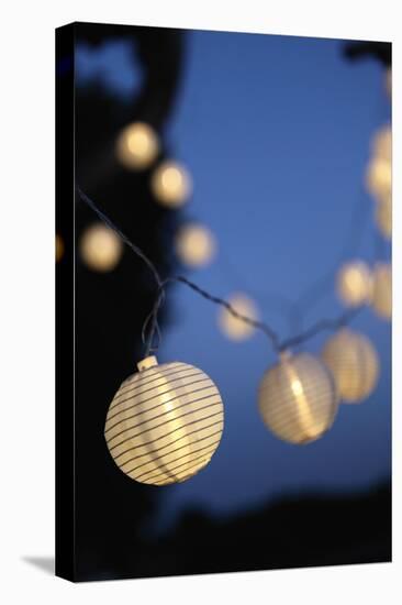 Garden Party, Chain of Lights-Catharina Lux-Premier Image Canvas