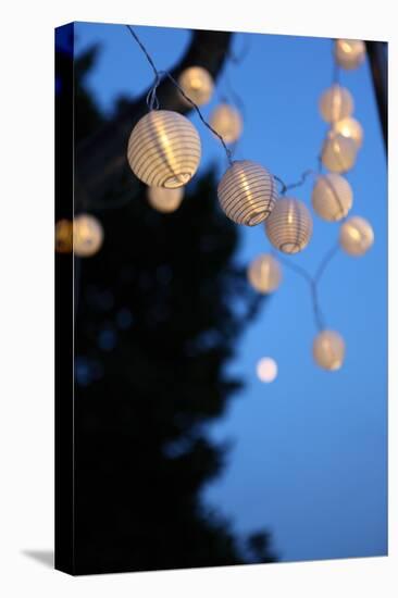 Garden Party, Chain of Lights-Catharina Lux-Premier Image Canvas