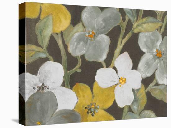 Garden Party in Gray I-Lanie Loreth-Stretched Canvas