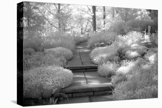 Garden Path-Anna Miller-Premier Image Canvas