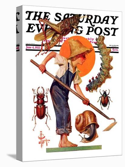 "Garden Pests," Saturday Evening Post Cover, June 4, 1932-Joseph Christian Leyendecker-Premier Image Canvas