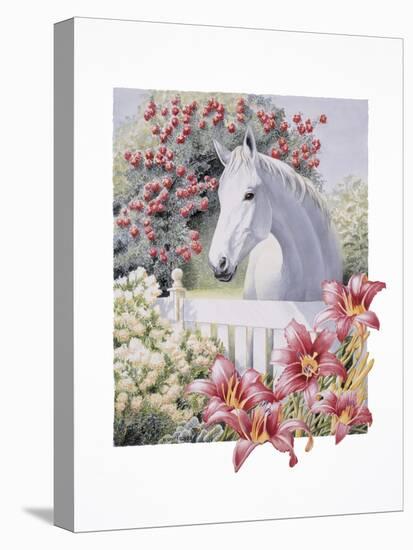 Garden Pony-K.C. Grapes-Premier Image Canvas