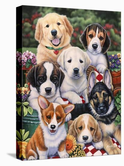Garden Puppies-Jenny Newland-Premier Image Canvas