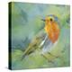 Garden Robin-Sarah Simpson-Stretched Canvas