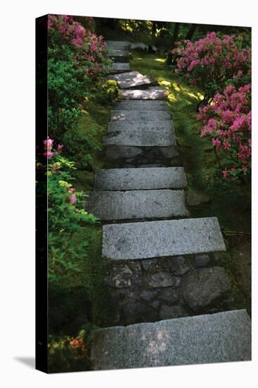 Garden Stairs I-Brian Moore-Premier Image Canvas