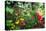 Garden State Dream Garden-George Oze-Premier Image Canvas