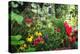 Garden State Dream Garden-George Oze-Premier Image Canvas