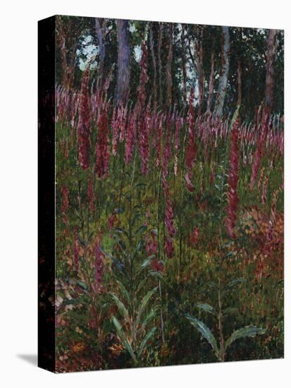 Garden with Foxgloves-Eug?ne Boudin-Premier Image Canvas