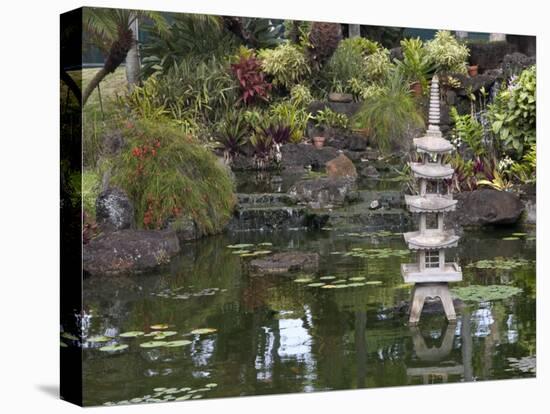 Garden with Koi, Kauai, Hawaii, USA-Savanah Stewart-Premier Image Canvas