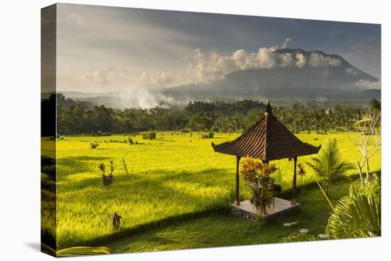 Garden with Pavilion and Rice Field of the Great Mountain Views Resort with the Volcano-Christoph Mohr-Premier Image Canvas