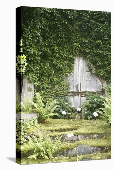 Garden, Wooden Door, Overgrown-Fact-Premier Image Canvas