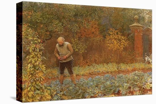 Gardener and Cabbages, 1870-Frederick Walker-Premier Image Canvas