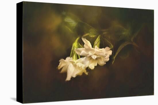 Gardenia in the Garden-Jai Johnson-Premier Image Canvas