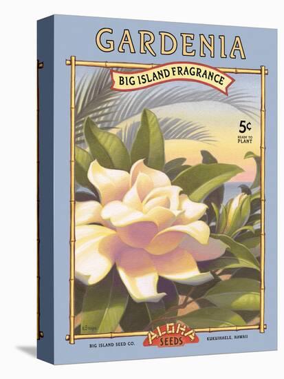 Gardenia-Kerne Erickson-Stretched Canvas