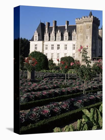 Gardens, Chateau De Villandry, Indre-Et-Loire, Loire Valley, Centre, France-Guy Thouvenin-Premier Image Canvas