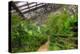 Garfield Park Conservatory Path Chicago-Steve Gadomski-Premier Image Canvas