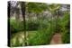 Garfield Park Conservatory Pond And Path Chicago-Steve Gadomski-Premier Image Canvas