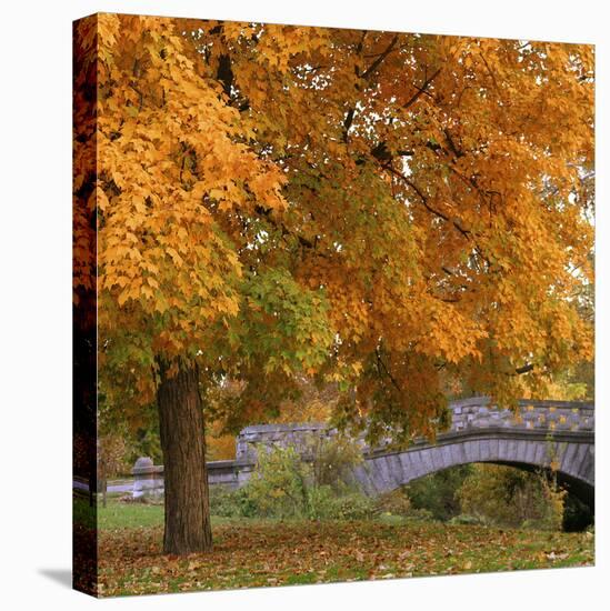 Garfield Park, Indianapolis City Park, Indiana, Usa-Anna Miller-Premier Image Canvas