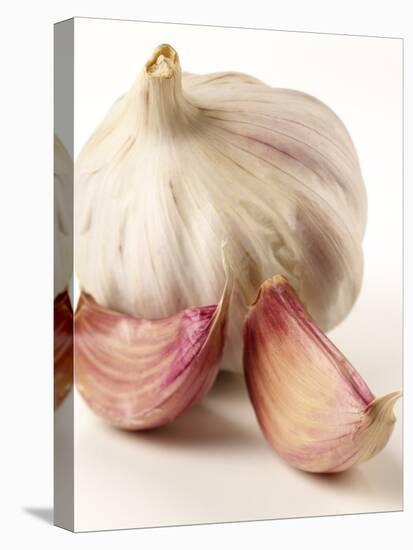 Garlic and Garlic Cloves-Joff Lee Studios-Premier Image Canvas