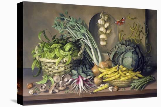 Garlic and Radishes and a Peacock Buttefly, 1997-Amelia Kleiser-Premier Image Canvas