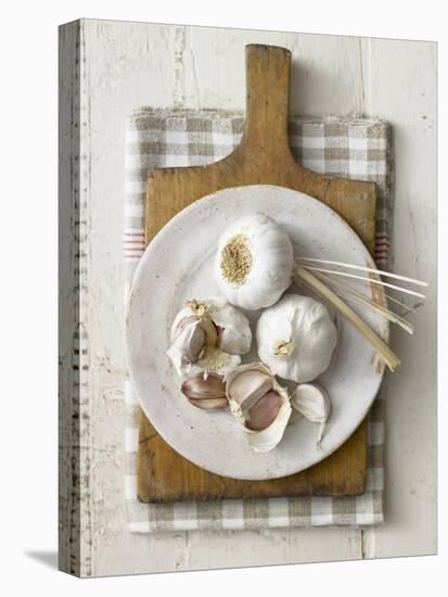 Garlic Bulbs and Cloves on a Plate-Stuart West-Premier Image Canvas
