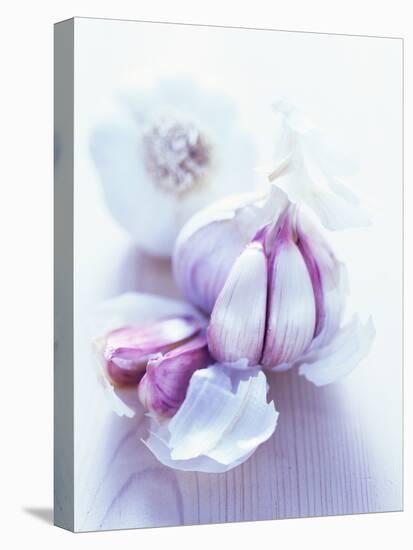 Garlic Bulbs-David Munns-Premier Image Canvas