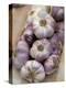 Garlic, Moustiers-Sainte-Marie, Provence, France-Sergio Pitamitz-Premier Image Canvas