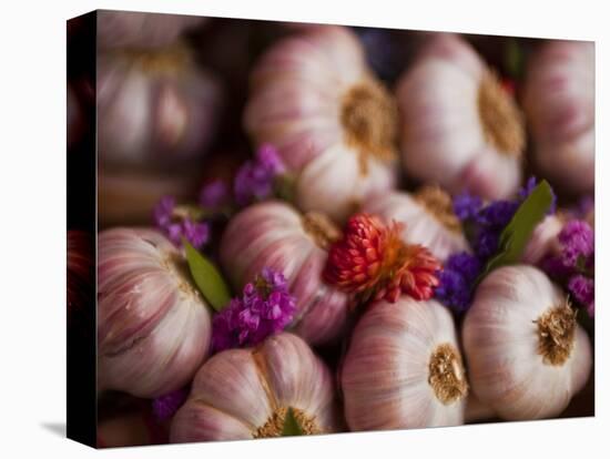 Garlic on Sale at a Market in Soft Focus Tours, Indre-Et-Loire, Centre, France, Europe-Julian Elliott-Premier Image Canvas