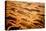 Garnet Sand Dunes II-Howard Ruby-Premier Image Canvas