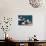 Garrapata Highlands 9-Alan Hausenflock-Premier Image Canvas displayed on a wall