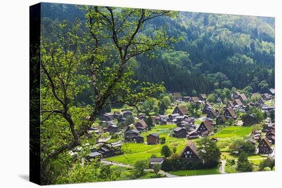Gassho-zukuri houses and farmland in the mountain, Shirakawa-go, Japan-Keren Su-Premier Image Canvas