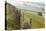 Gate in Stone Wall and Field-Miles Ertman-Premier Image Canvas