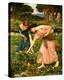 Gather Ye Rosebuds While Ye May-John William Waterhouse-Stretched Canvas