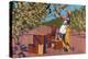 Gathering Apricots for Canning - Australia-Archibald Bertram Webb-Premier Image Canvas