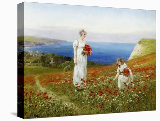 Gathering Poppies-Henry John Yeend King-Premier Image Canvas