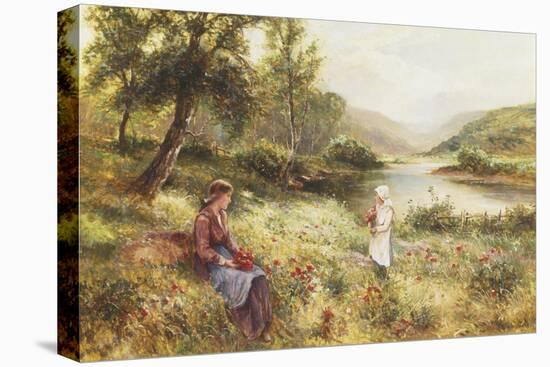 Gathering Poppies-Ernest Walbourn-Premier Image Canvas